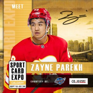 Zayne Parekh